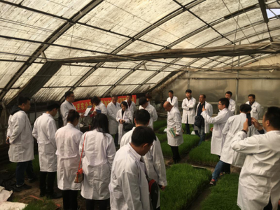 绿色农业新篇章 '顶苗新'环保技术交流会在哈尔滨隆重召开